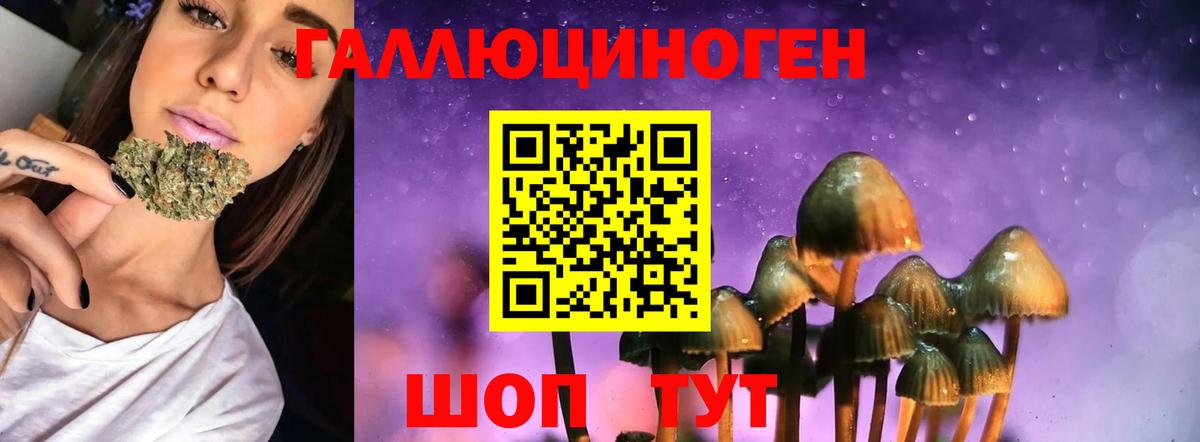 Амурск  Псилоцибиновые грибы Cubensis  Вход с VPN 